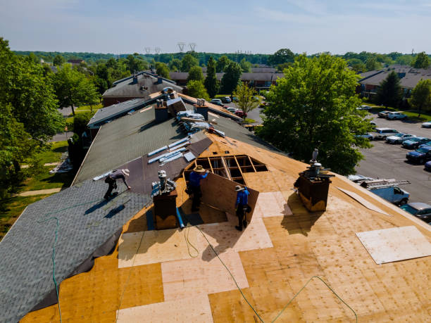 Trusted Roof Installation service in Bethel, MN - Brentwood Metal Roofing